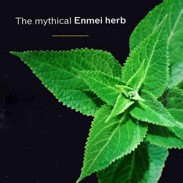 Total Regenerating Cream, 