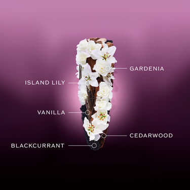 Ginza Night Eau De Parfum Intense, 