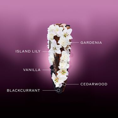 Ginza Night Eau De Parfum Intense, 