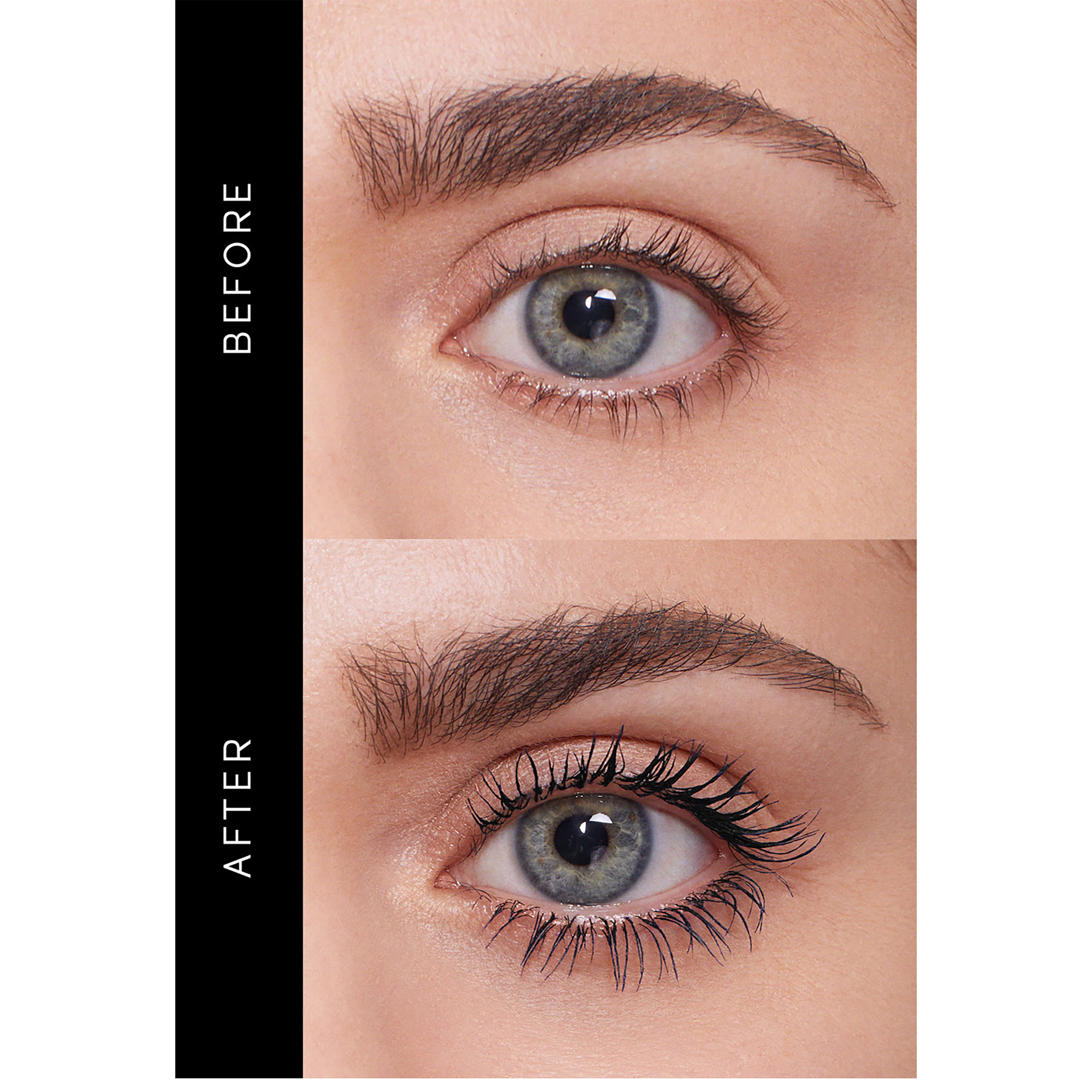 Perfect Eyes Duo, 