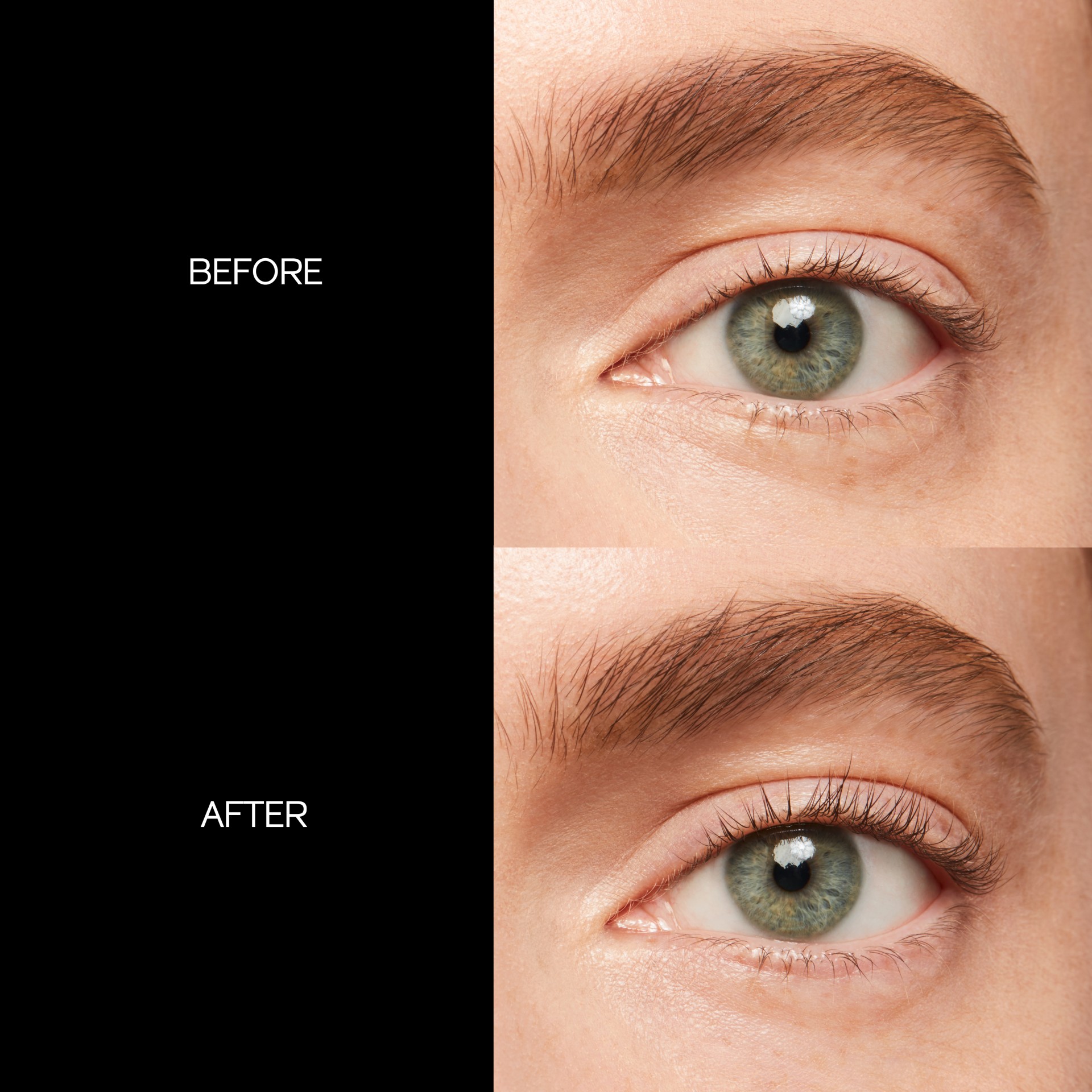 Eyelash Curler, 