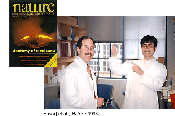 Hosoi J et al ., Nature. 1993