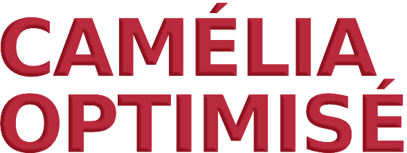 Camellia Optimized