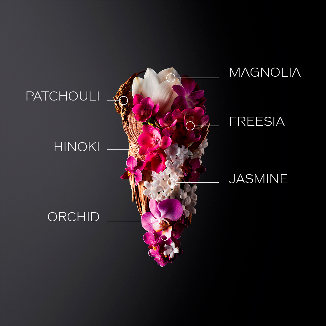 Ginza Eau De Parfum 90ml Holiday Kit, 