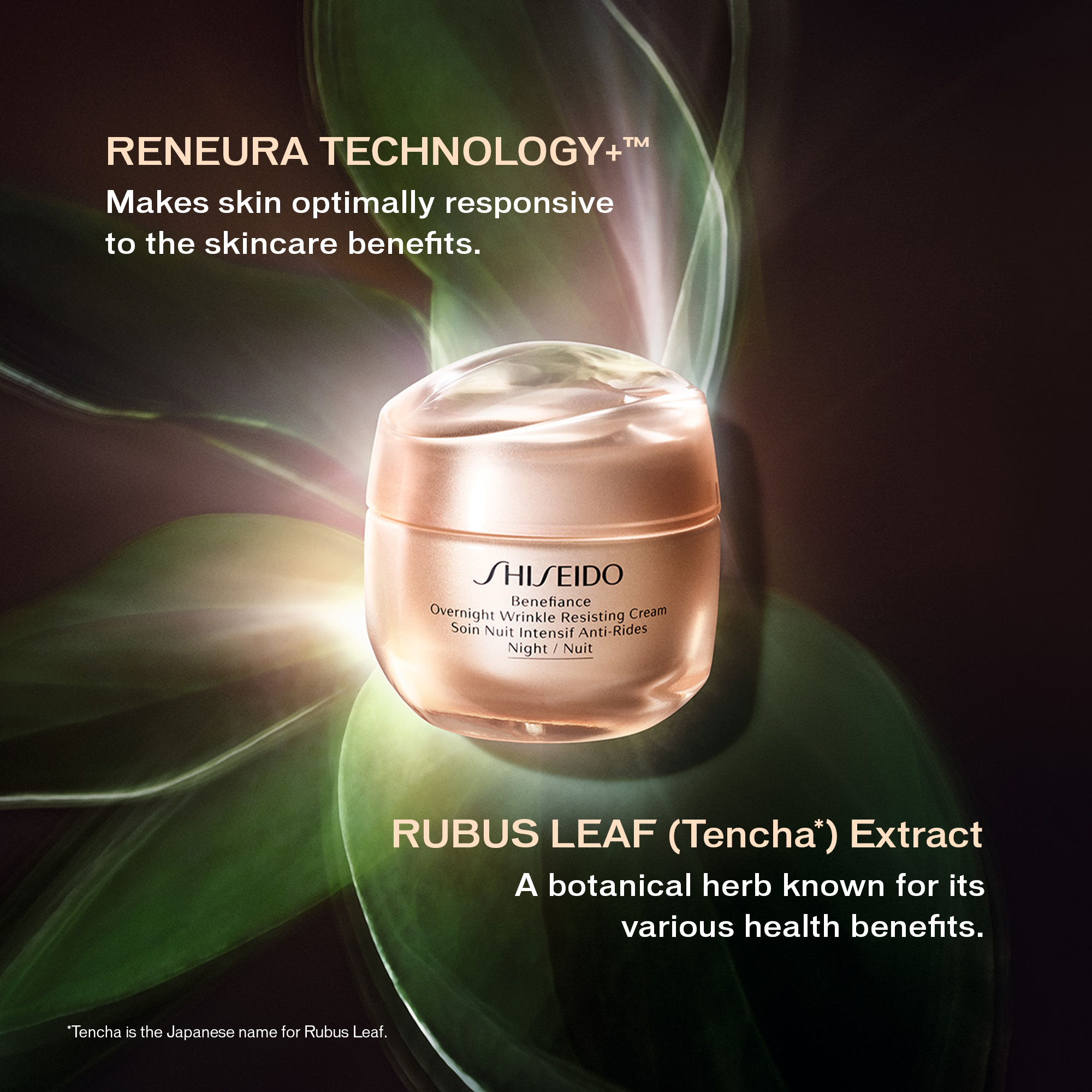 Overnight Wrinkle Resisting Cream - Shiseido, HUIDVERZORGING