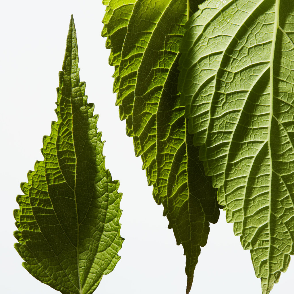 Zet een stap extra voor schoonheid